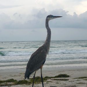 Meet your Posher, Steve